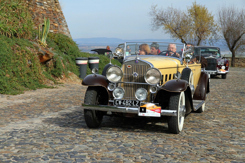 Tour de France: Etappe verkürzt wegen kranker Kühe