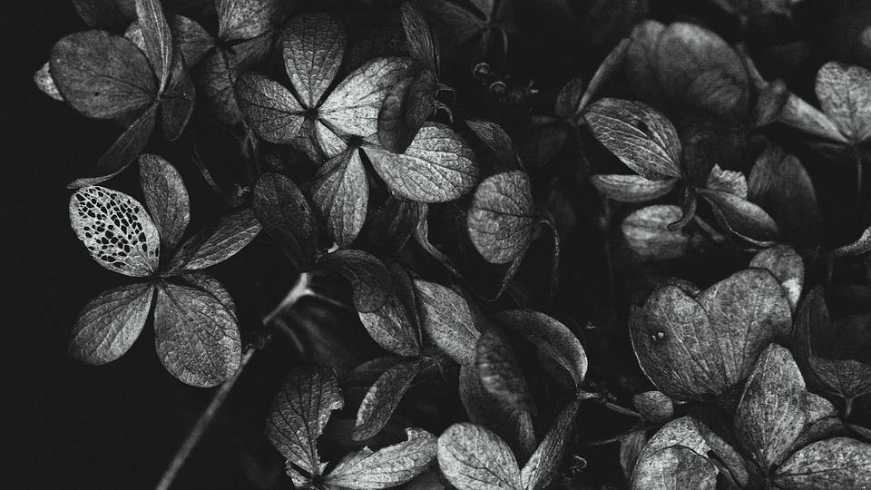 Trump-Regierung: Keine Toten durch US-Hilfekürzungen in Afghanistan