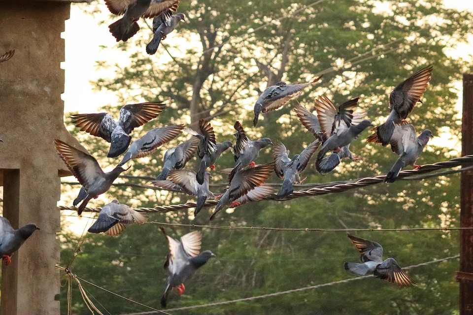 Trump droht mit Zöllen auf Beijing-nahe Gruppe – Was beunruhigt ihn?
