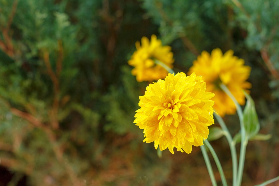 Trump kündigt Waffenlieferungen an die Ukraine über NATO an