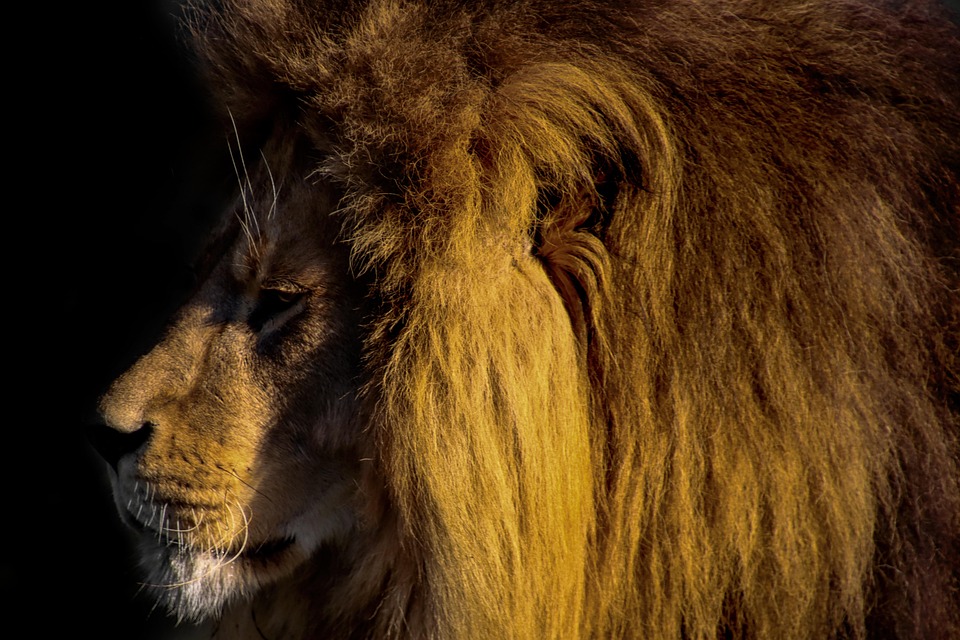 Trump verändert sich in Ukrainefragen: Große Bedeutung, aber nicht für Putin