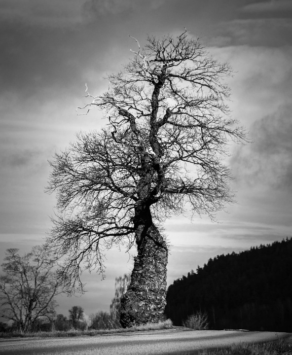 Trump wendet sich gegen Putin – was nun?