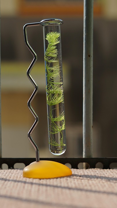 Trumps Plan zum Stopp russischer Öle könnte Preise steigen lassen