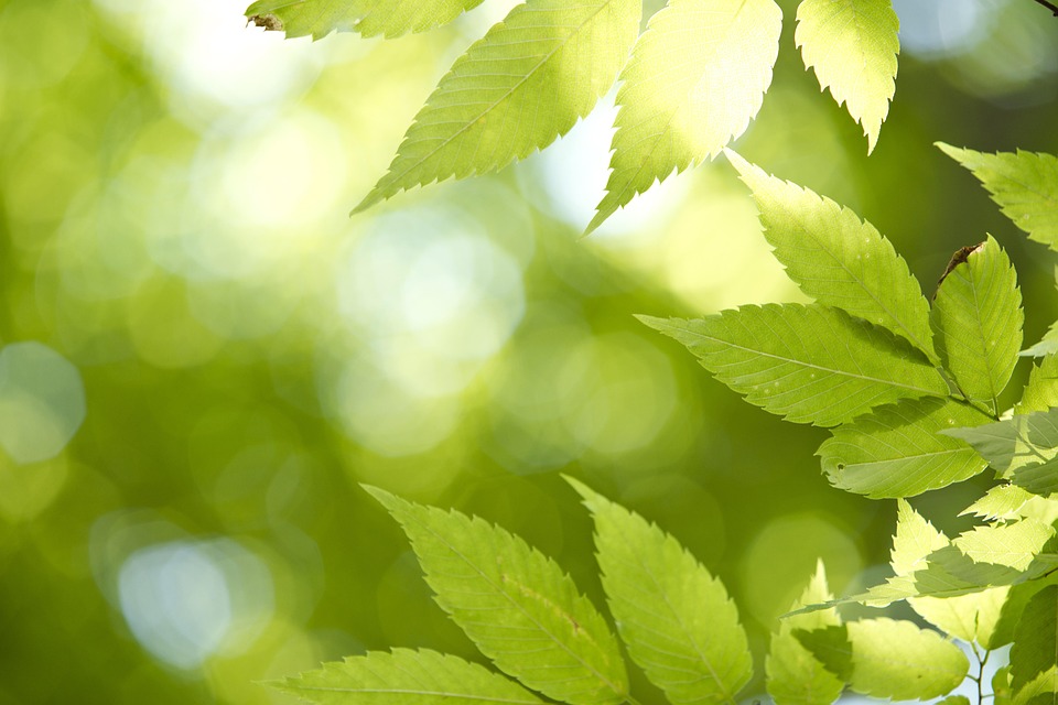 Trumps neue Russland-Politik verändert die Lage in der Ukraine