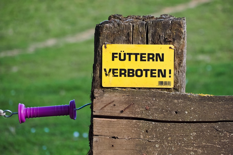 UK beschließt Verbot pro-palästinensischer Gruppe unter Antiterrorgesetz