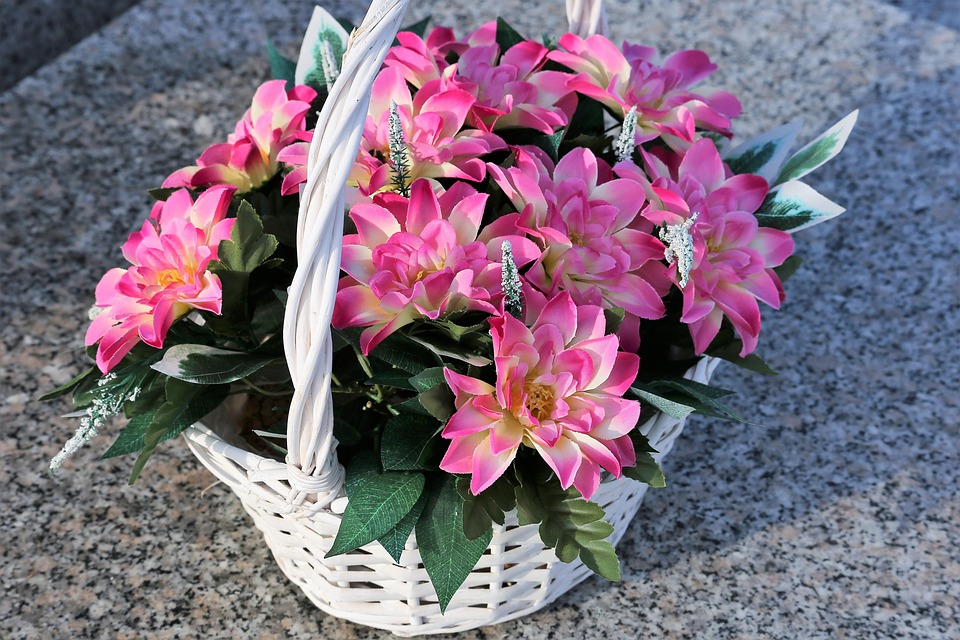 UK senkt das Wahlalter auf 16: Meilenstein in der Wahlreform