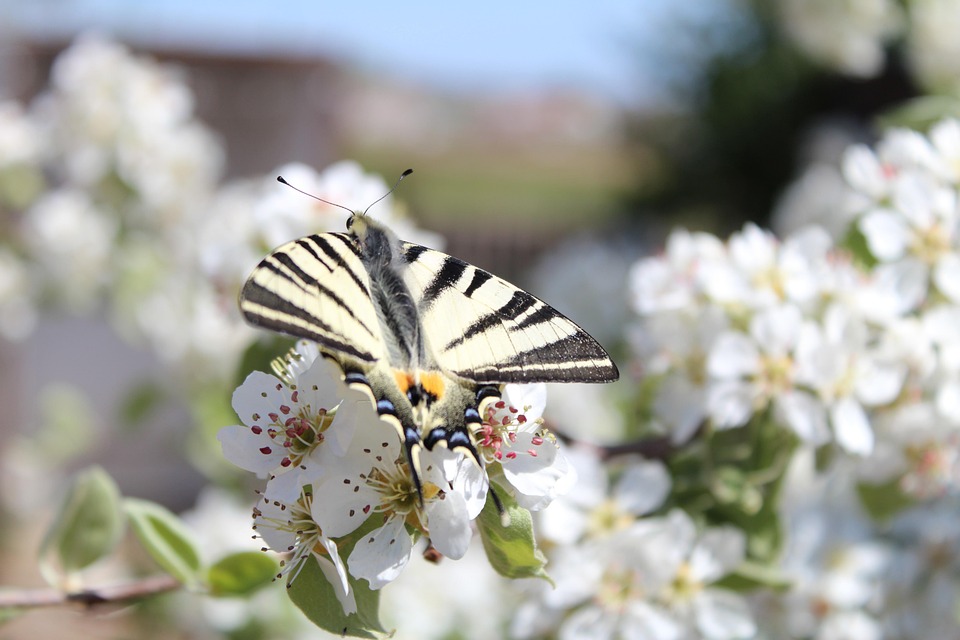 Ukraine fordert Gespräche mit Russland in der kommenden Woche