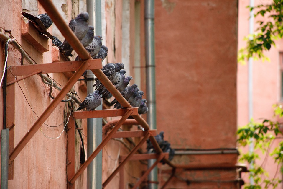 Trump kündigt baldiges Treffen mit Putin an