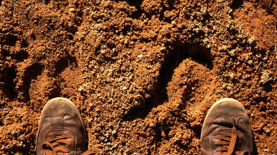 5 Dinge für den 13. August: Polizei in DC, Ukraine, Alaska-Gipfel, Gletscher-Ausbruch, Covid-19