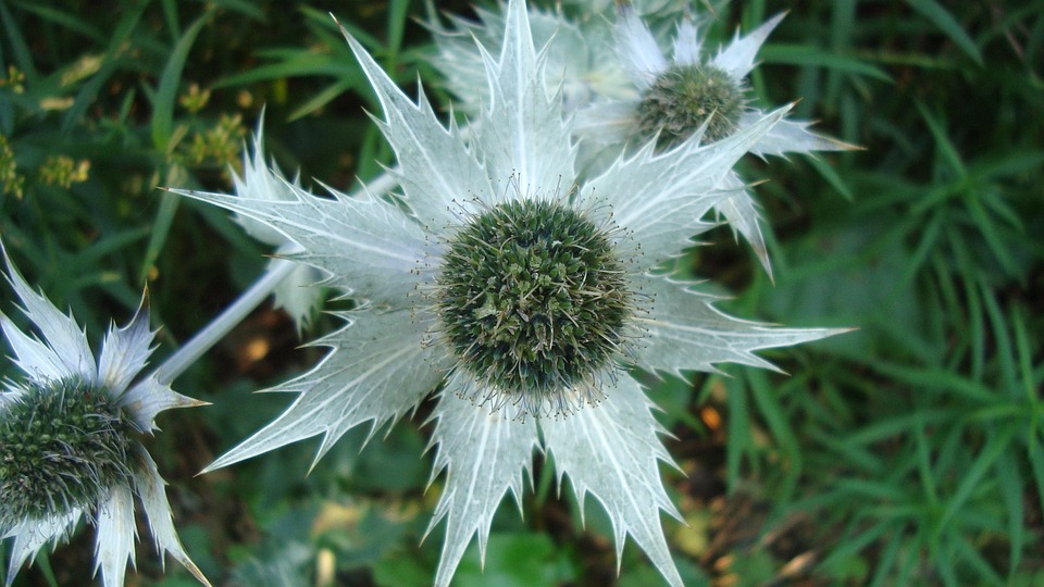 Acht Personen, darunter ein irischer Missionar, vermisst nach Überfall in Haiti