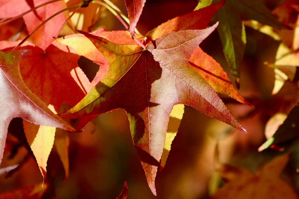 Amerikanischer Journalist nach Wanderung in Norwegens Nationalpark vermisst