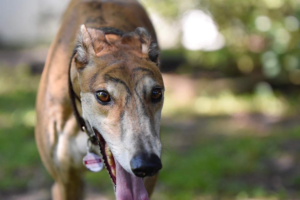 Autofahrer mit 1.000 $ Strafe für 199 mph auf der Autobahn
