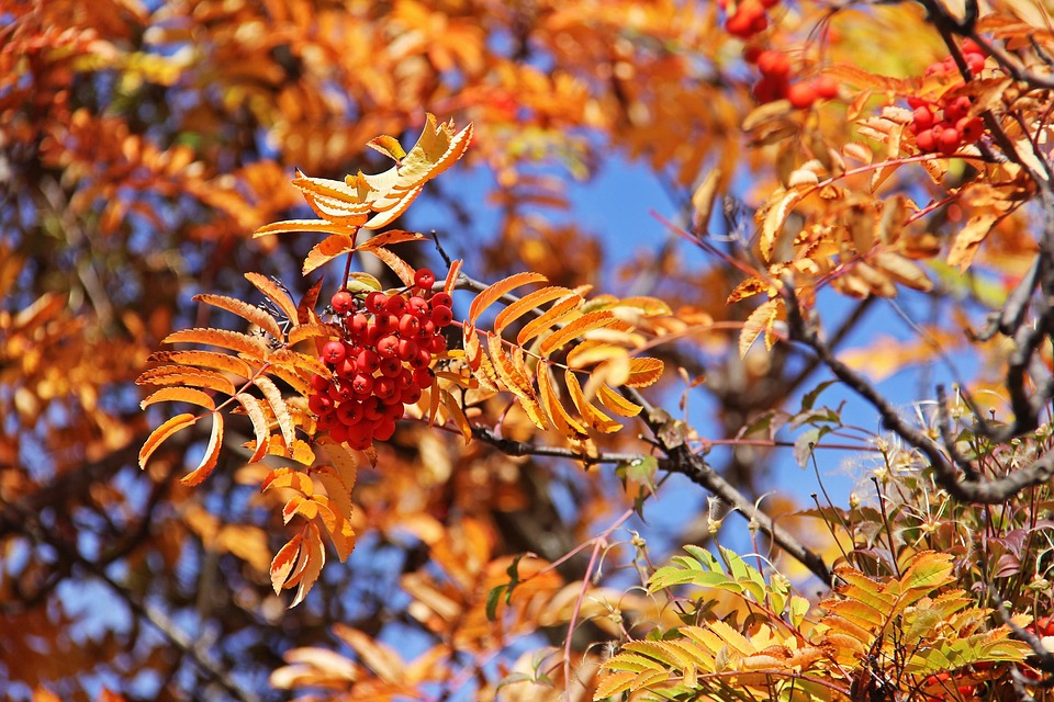 Beliebte Labubus – Kann Pop Mart mithalten?
