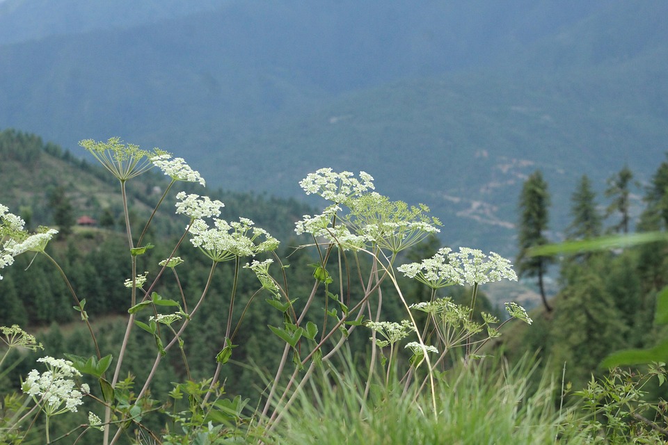 Beste Stadt für 20-Jährige laut Time Out
