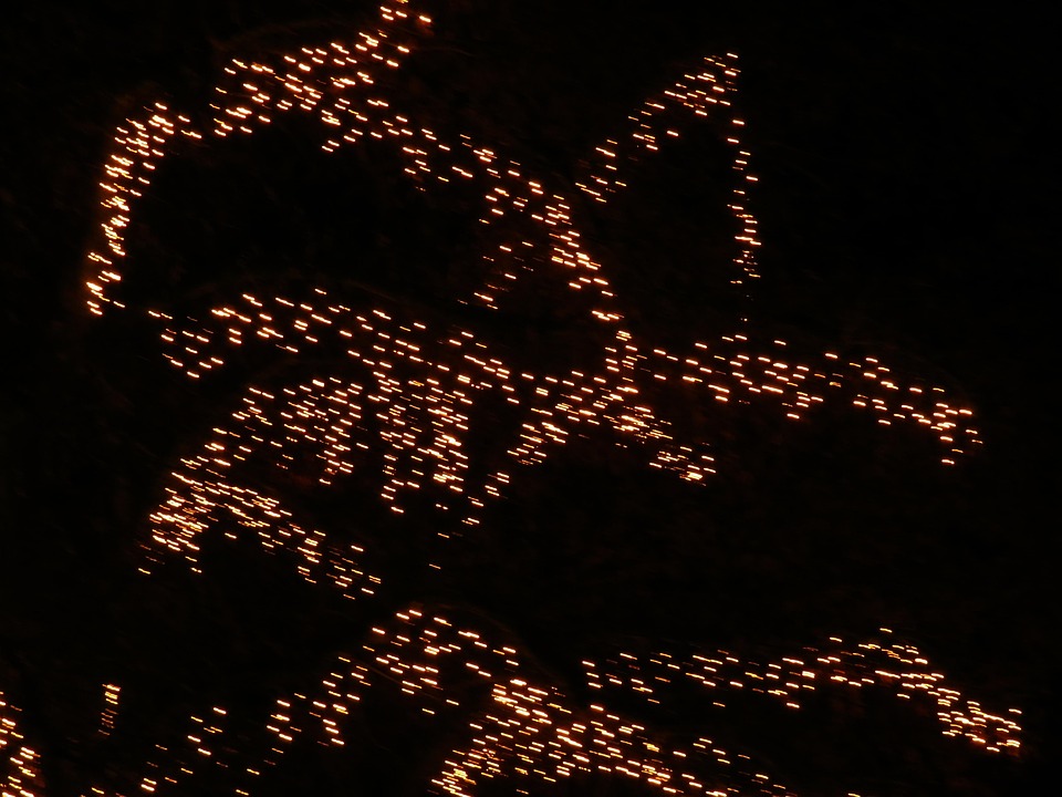 Bildfehler beheben: Fallback-Bild für fehlende Bilder verwenden