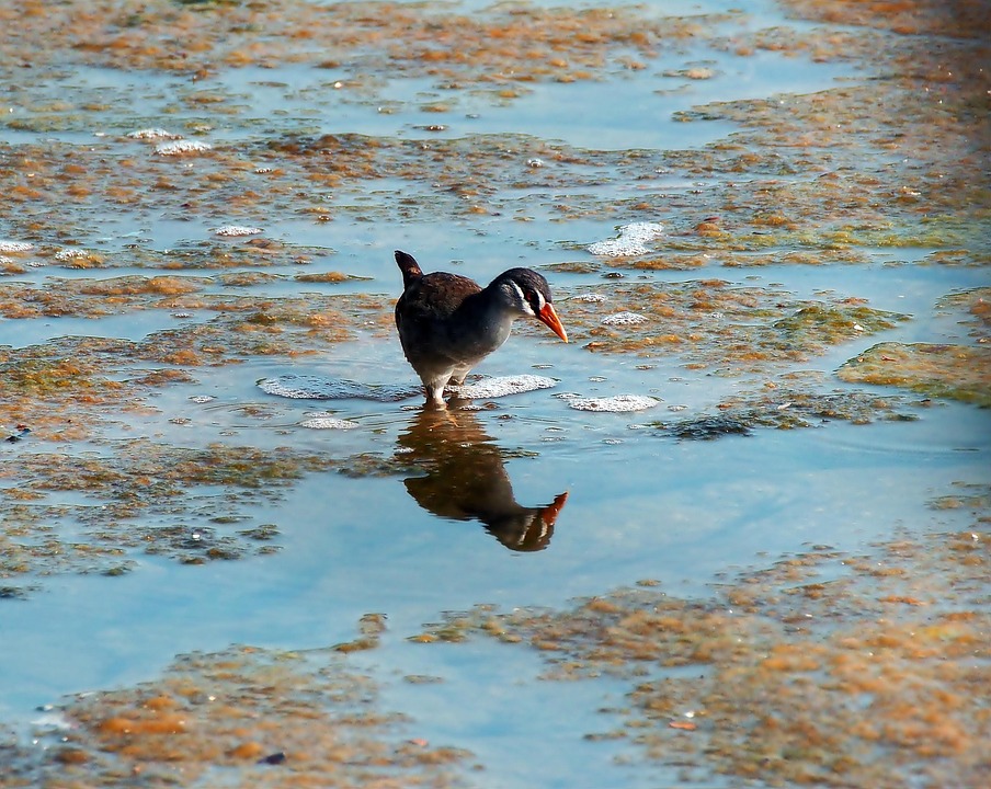 EU erhöht Eintrittspreis für Besucher fast um das Dreifache
