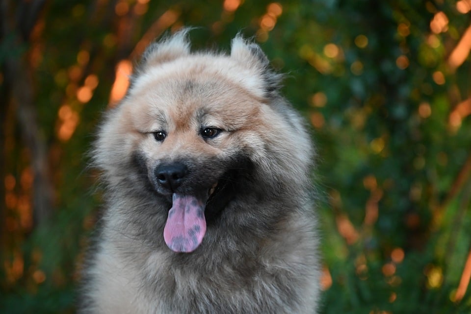 Hassett: Trump will loyale Mitarbeiter beim Bureau of Labor Statistics