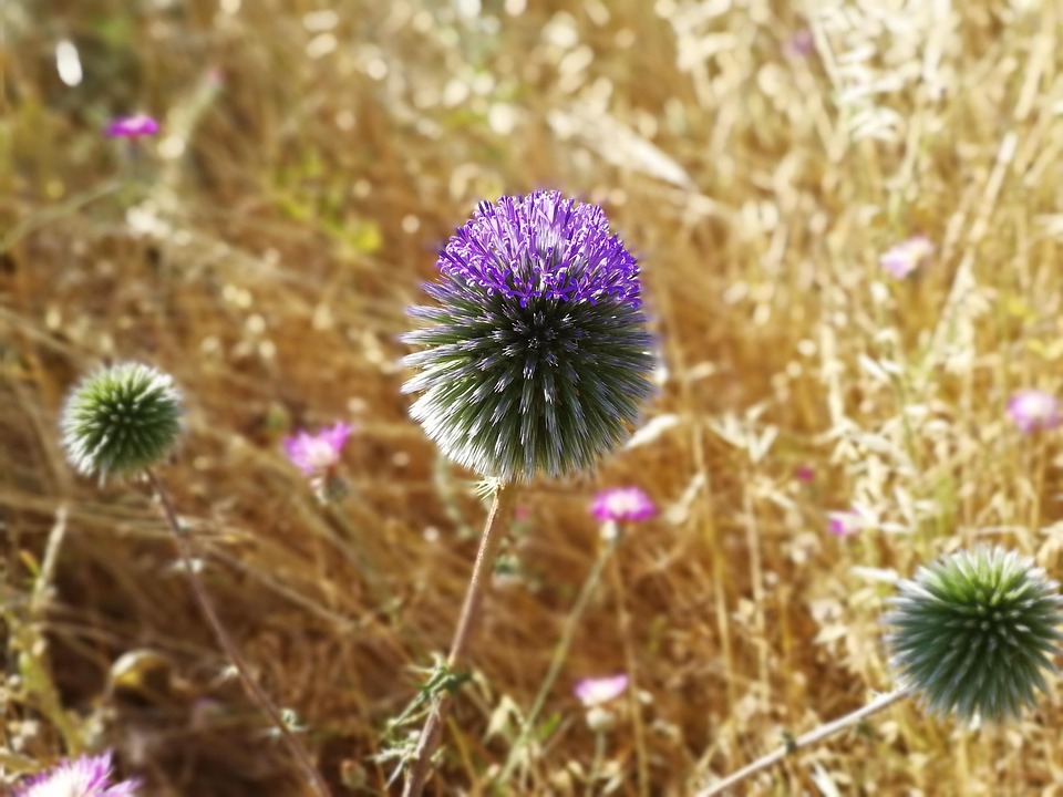 Israel startet Offensive in Gaza-Stadt: Militär steht vor Personalproblemen