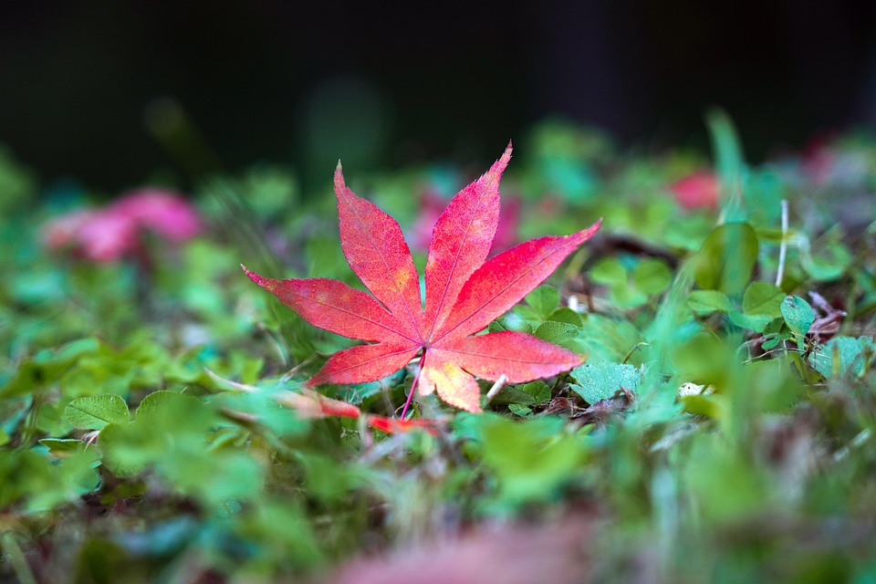 Kim Jong Uns Schwester verstärkt Lautsprecher-Konflikt mit Südkorea