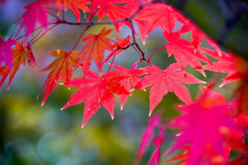 Kim Jong Uns Schwester verstärkt den Konflikt mit Südkorea