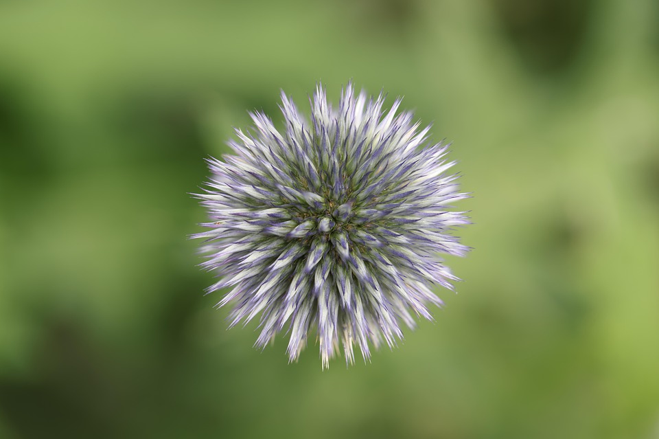 Russische Drohnen zielen auf Zivilisten in Cherson, Ukraine