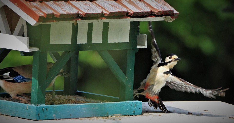 Todlichster Angriff auf Kiew seit 2024: Wohnblock getroffen