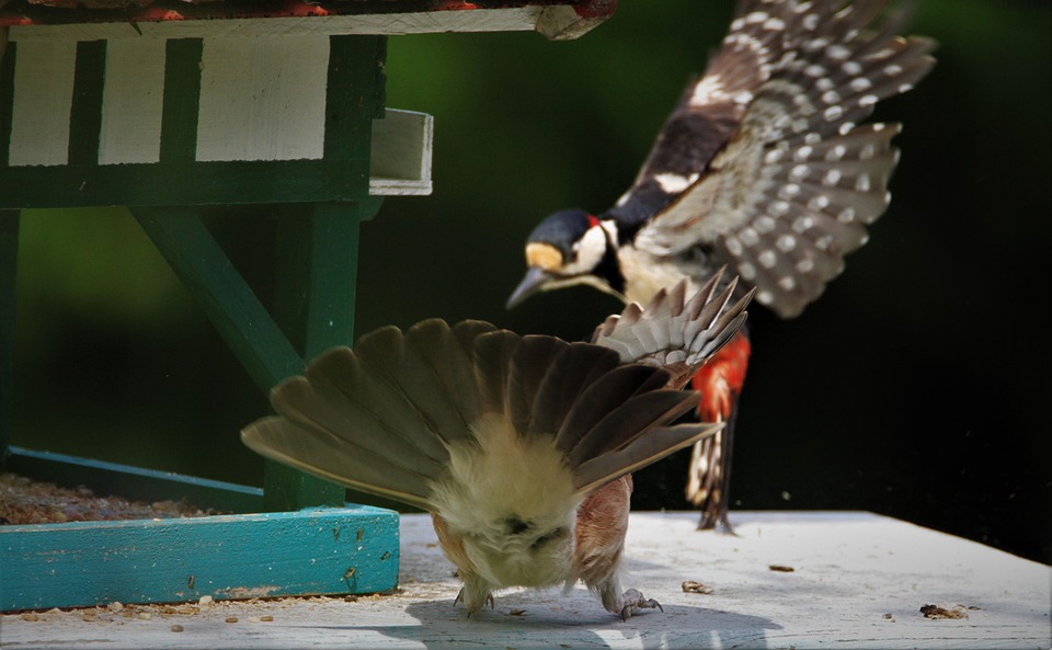 Tödlicher Angriff auf Wohnblock in Kiew: schlimmste Attacke seit 2024