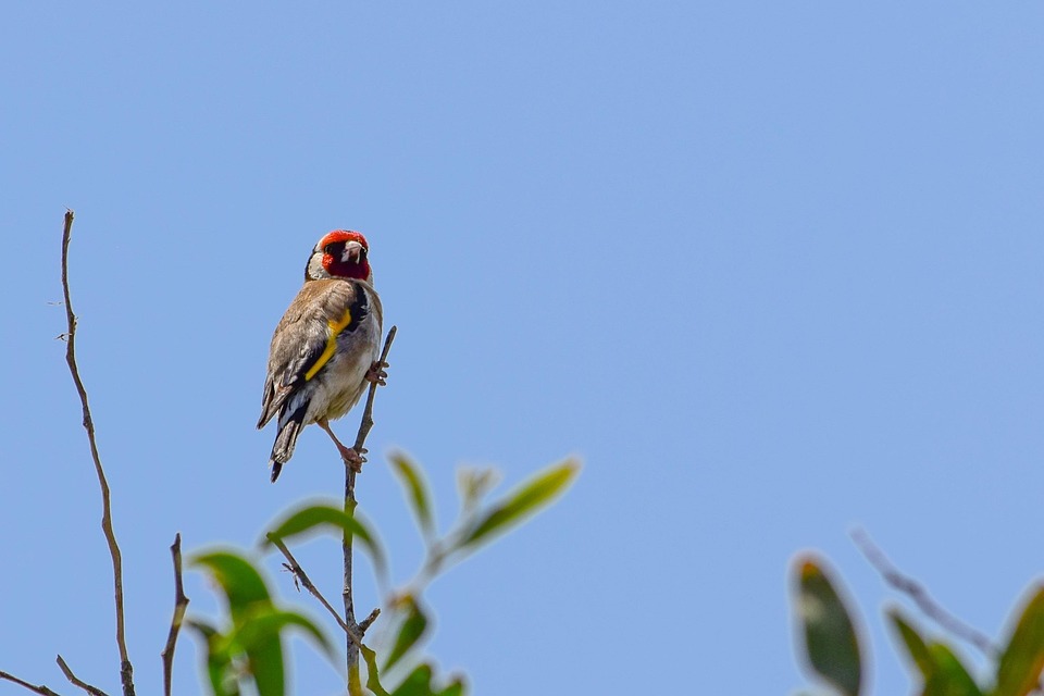 Trump, Zelensky und europäische Führer: Wichtige Erkenntnisse