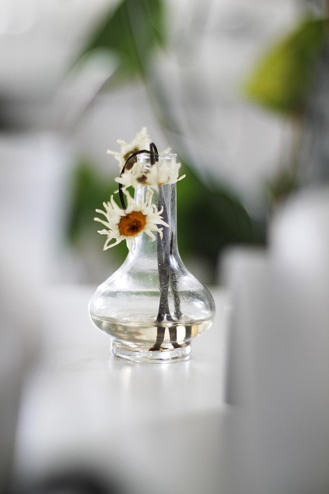 Trump hinterfragt Veränderungen bei Putin vor dem Gipfel