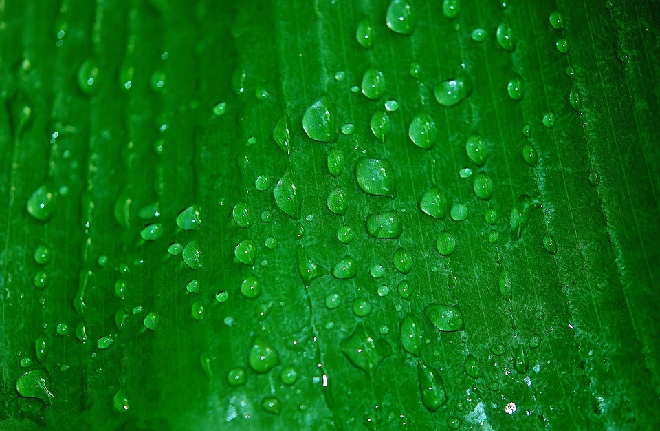 Trump lässt Putin erneut Zeit, während Ukraine-Friedensgespräche stagnieren