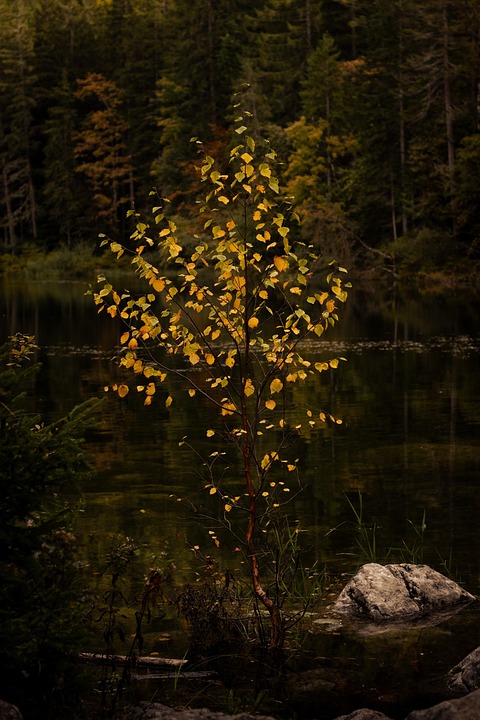 Trump plant Treffen mit Kim Jong Un, sagt Südkoreas Präsident.