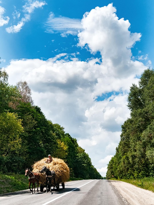 Trump unterstützt Ukraine zum Unabhängigkeitstag – Zelensky:  Wir verlieren nicht