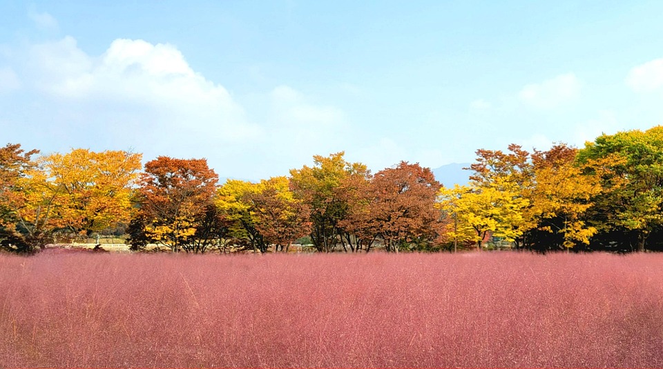 Trumps rechtliche Vergeltungstour wird immer offensichtlicher