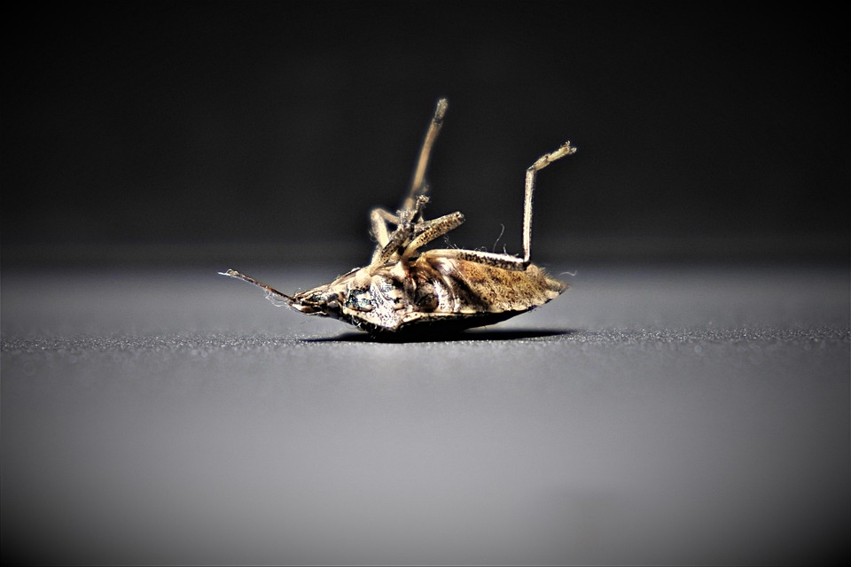 US-Kriegsschiffe nähe umstrittenem Riff nach Kollision mit China-Schiffen