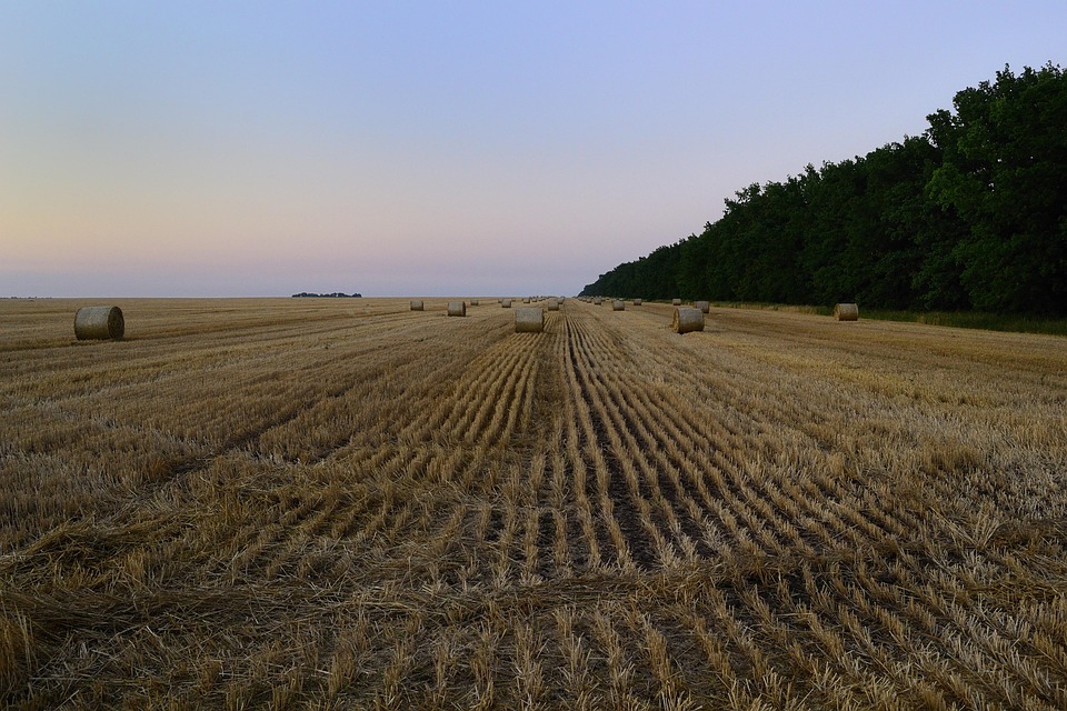 Ukraine ist jetzt Trump’s Krieg