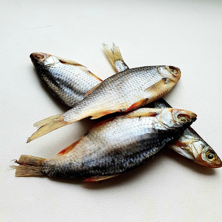 Umfragen vor dem Trump-Putin-Treffen am Freitag