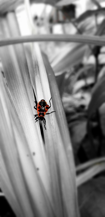 Verletzter Polizist schützt mit Tourniquets und Lkw bei Überfall