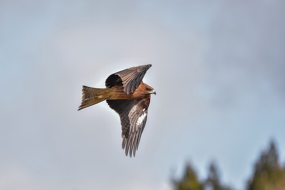 Video der rechten israelischen Ministerin sorgt für Aufregung über Palästinenserführer