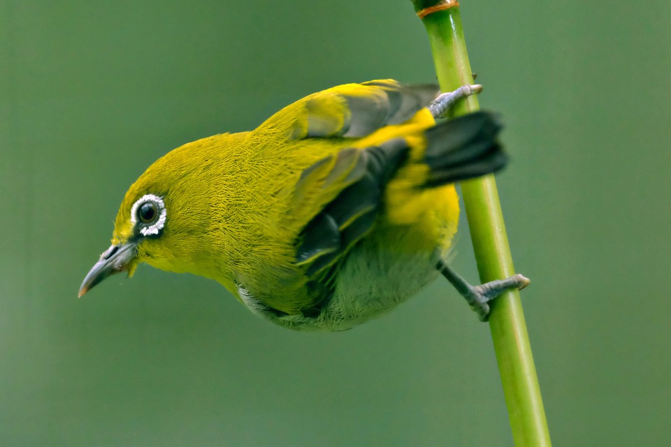 Weißes Haus lässt Zelensky in Alaska während Trump-Putin-Treffen offen