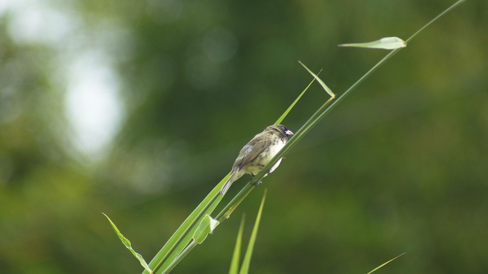 Wichtige Momente vor dem Trump-Putin Treffen im Überblick