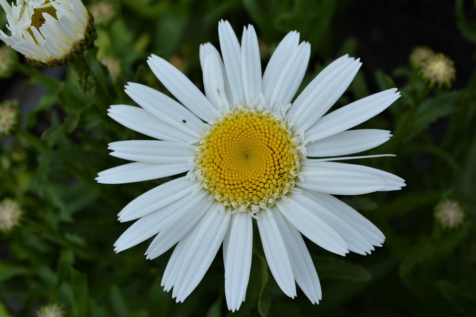 Zelensky-Treffen zeigt, wie das Weiße Haus die Presse für Trump formte