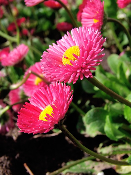 138 Jahre Feuerwehr Wölfnitz: Einsatzstark und geehrt im Norden Klagenfurts!