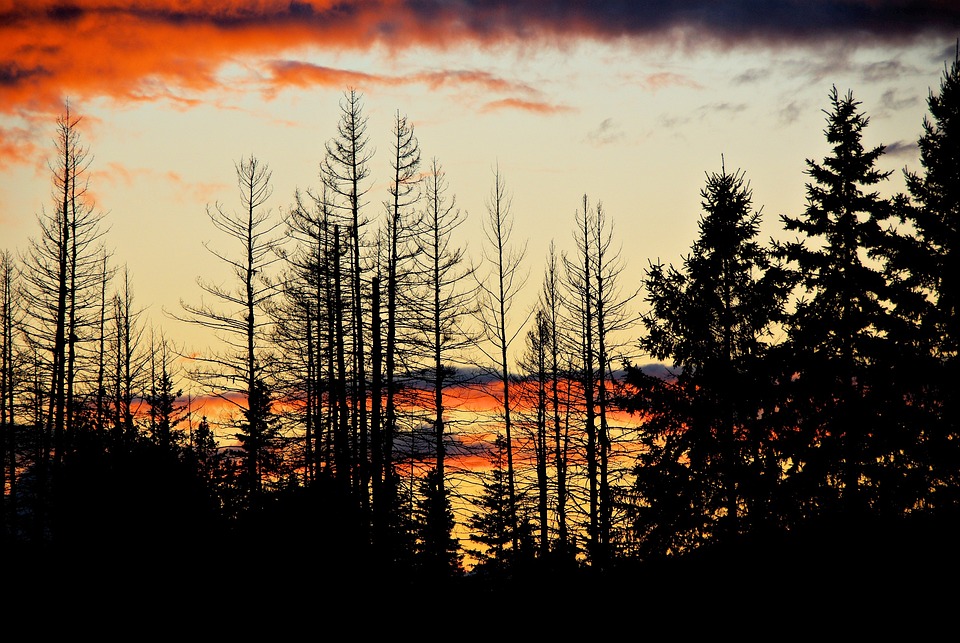 62-Jähriger gerettet: Wanderer in den Bergen verirrt und alarmiert!