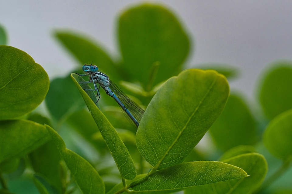 850 Besucher beim Tag der offenen Tür: Erlebe das Schulleben hautnah!