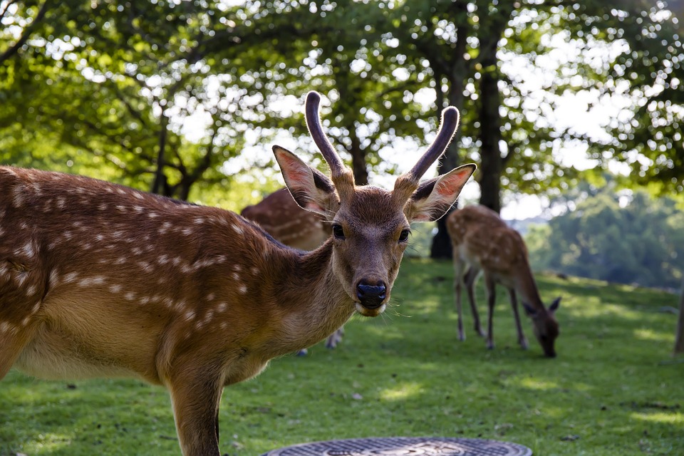 A1 Kitz Night: Wirtschaft trifft Spitzensport in Kitzbühel!