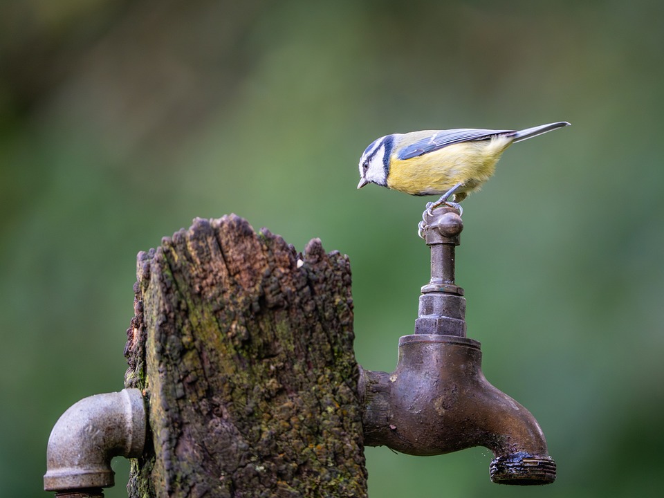 A1-Kunden aufgepasst: Falsche E-Mail gefährdet deine Daten!