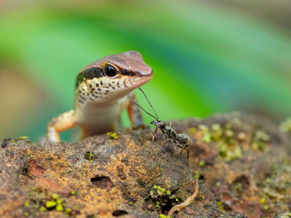 Achtung, Senioren! So schützen Sie sich vor falschen Polizisten!
