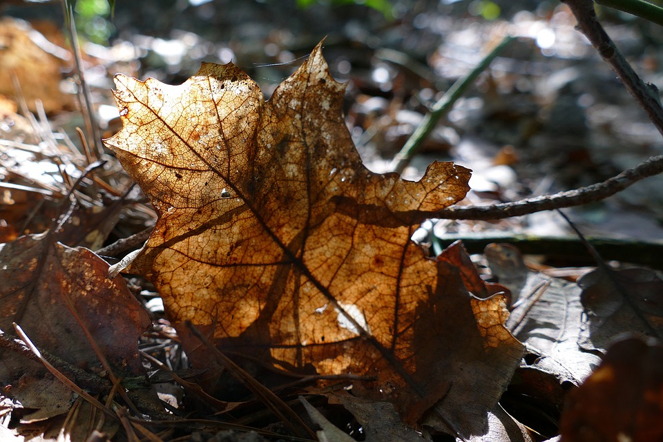 Alarmstufe Rot: 90% der Topmanager erwarten massiven Stellenabbau!