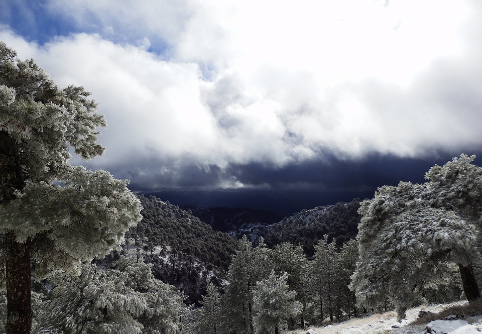 Alcaraz und Zverev im Auftakt zum historischen Australian Open-Halbfinale!