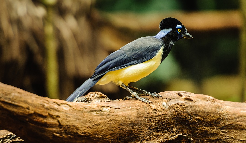 Amazon ändert Bestellprozess: Mehr Sicherheit und weniger Fälschungen!